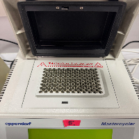 Eppendorf Mastercycler Thermal Cycler image 0